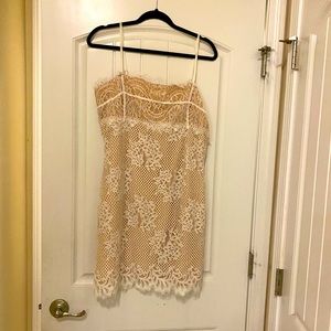 Majorelle laced cream dress